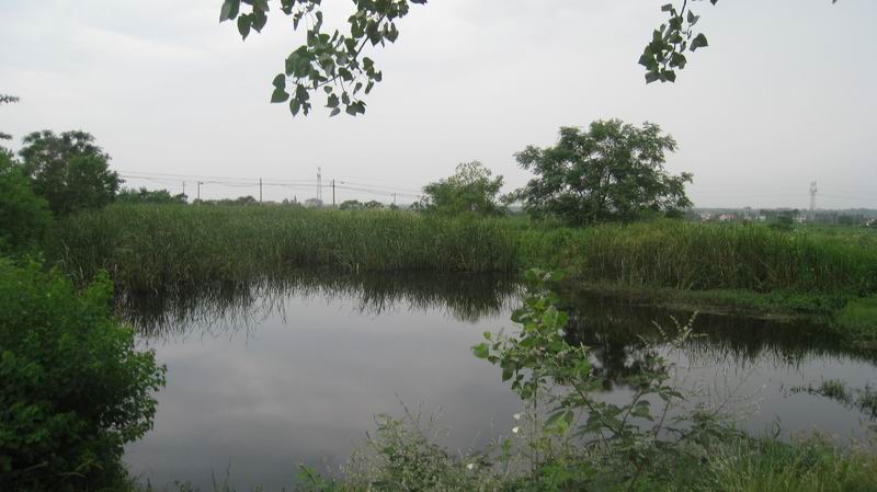 С 201171617 091.jpg