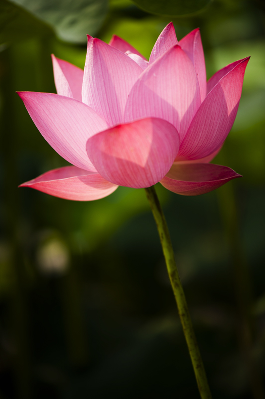 dsc_6941a.jpg