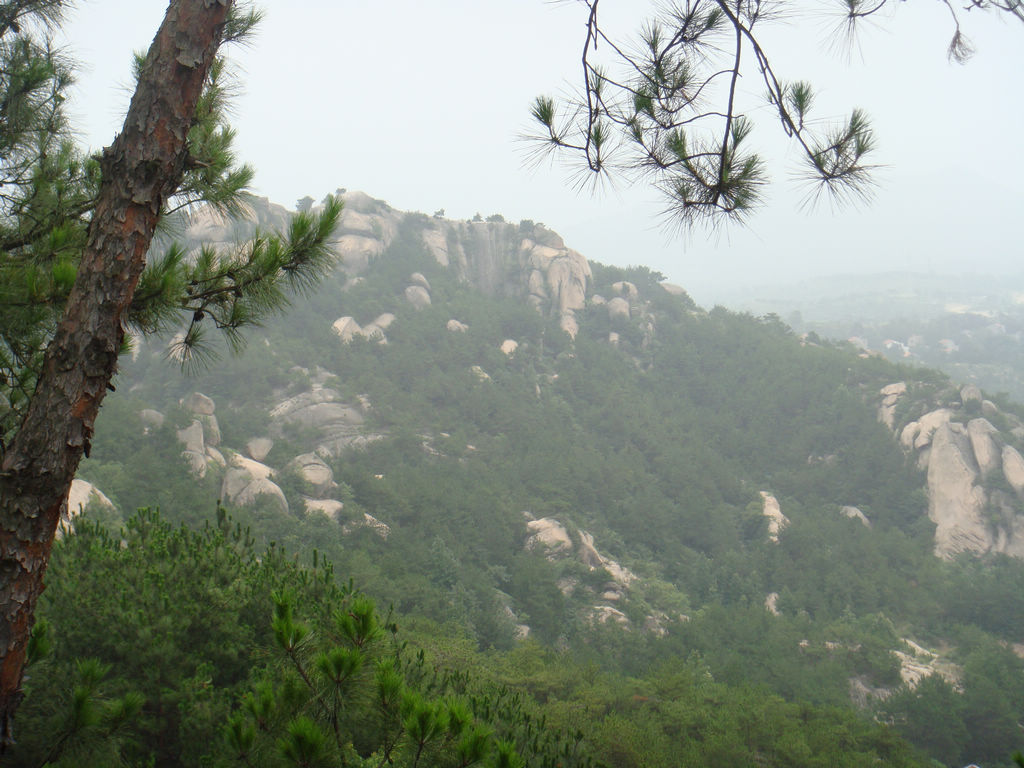 dsc05307.jpg