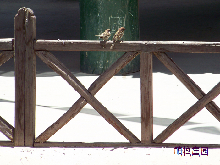 2011年0609e西藏江孜帕拉庄园 (40)粮仓.jpg