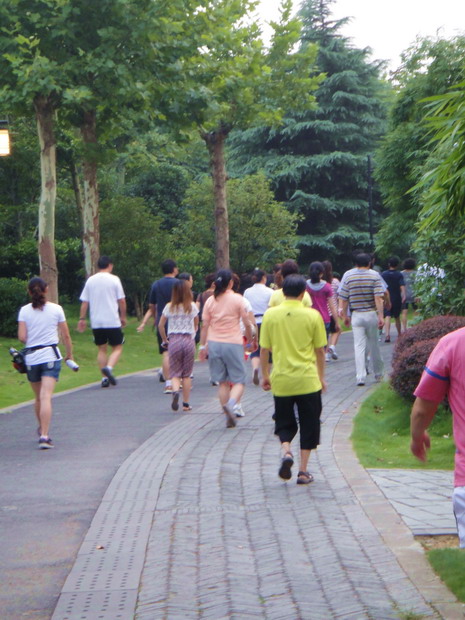 dsc02849.jpg