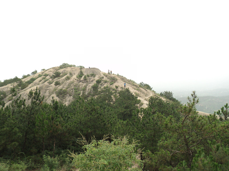 dsc04850_.jpg