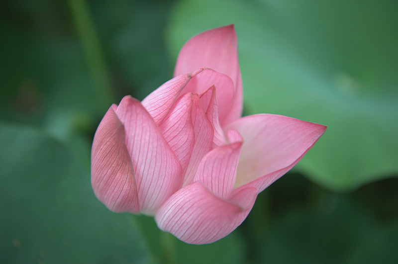 dsc_7379_.jpg