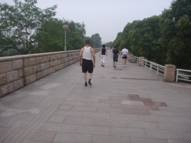 p1070305_.jpg