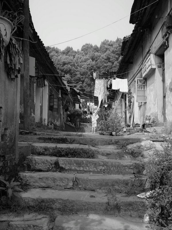 sdim0811.jpg