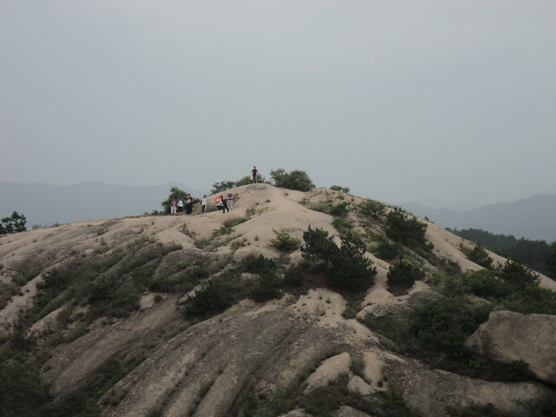 dsc04870_.jpg
