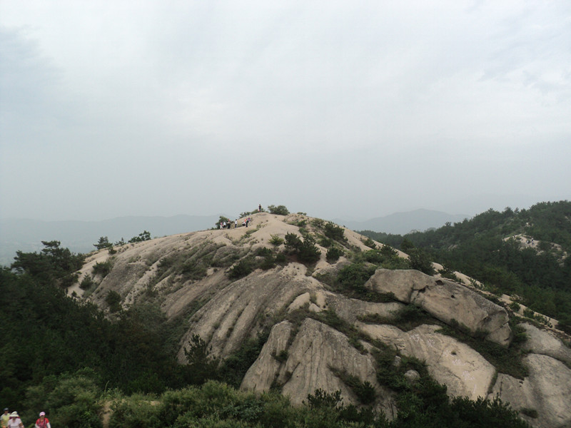 dsc04869_.jpg