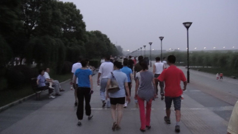 dsc06530.jpg