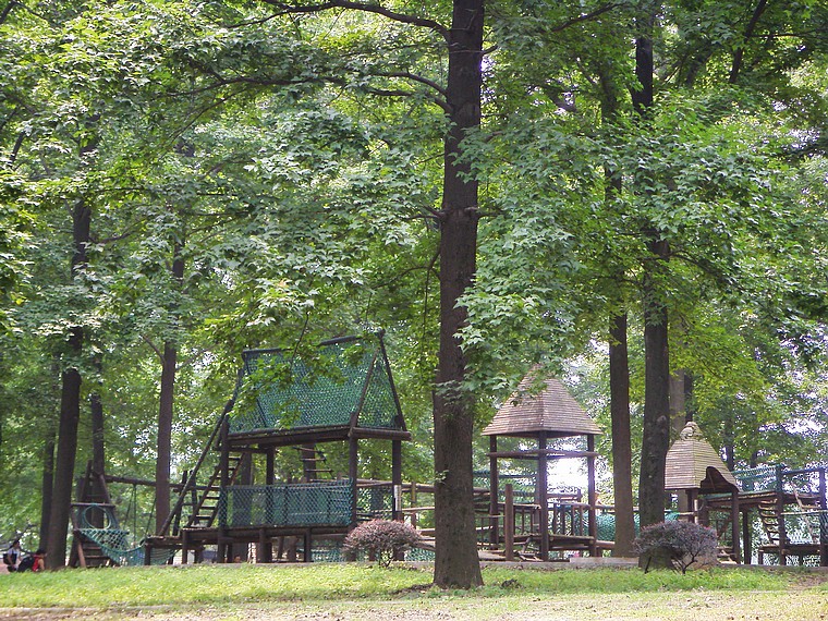 s73f2712.jpg