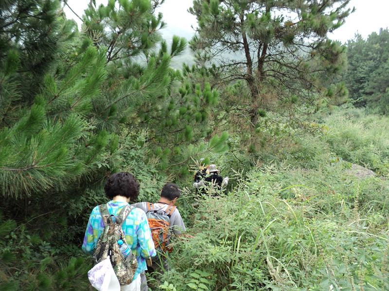 dsc04898_.jpg