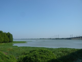 p1110976.jpg