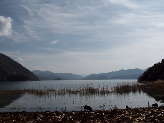 100_9229С.jpg