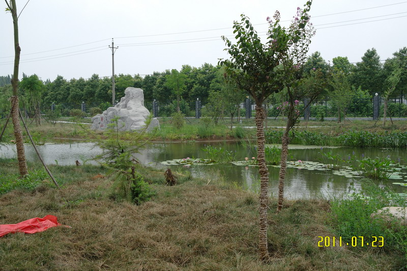 sam_0057_С.jpg