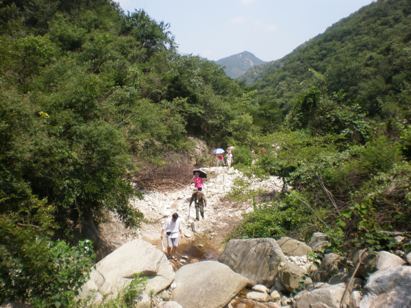 20110823_110320_38.jpg