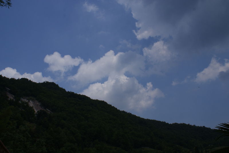 http_imgloadcaflj44j.jpg