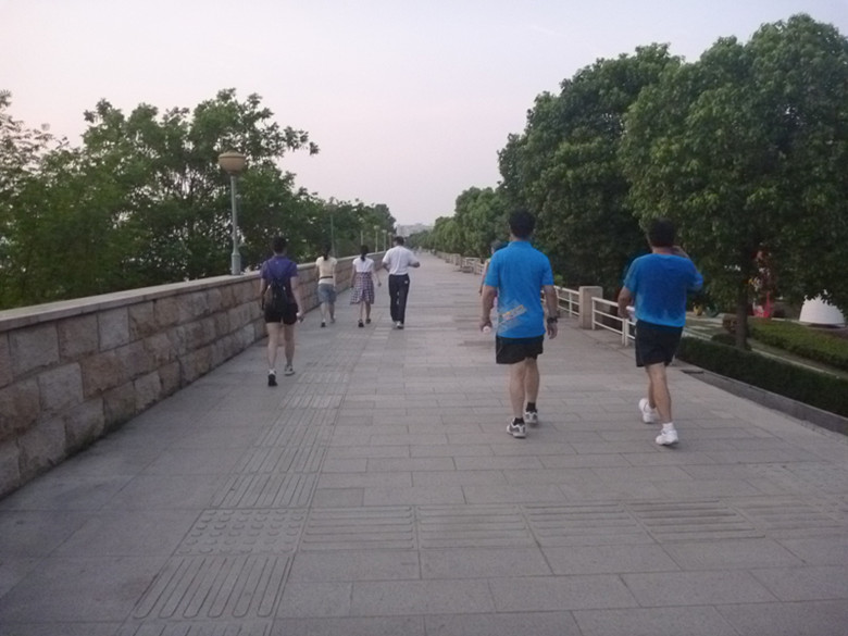 p1070317_����.jpg