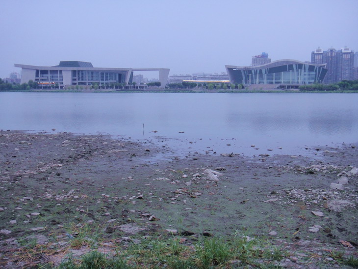 dsc03236.jpg