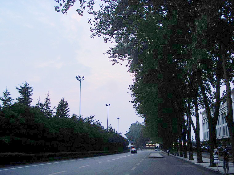 s73f2783.jpg