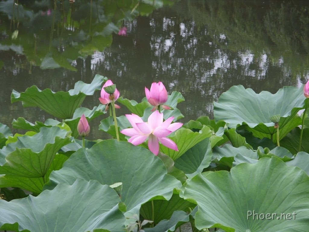 20080816_481e4d0563156f85b6a4spbsmhryszzw.jpg