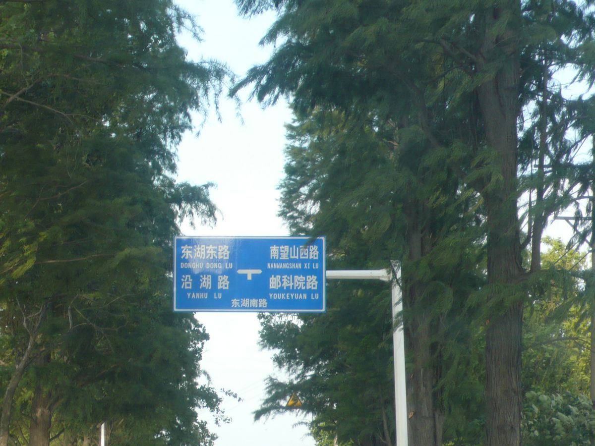 l1100870.jpg