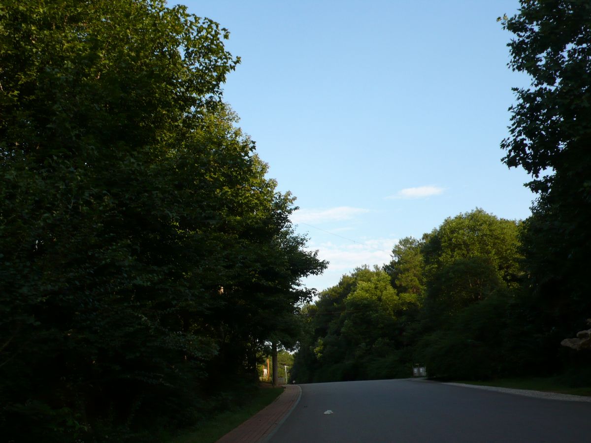 l1100871.jpg