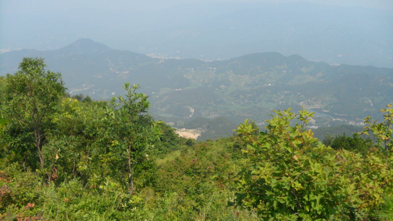 58.jpg