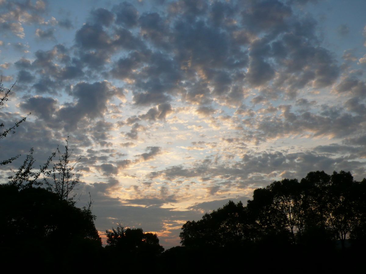 l1100902.jpg