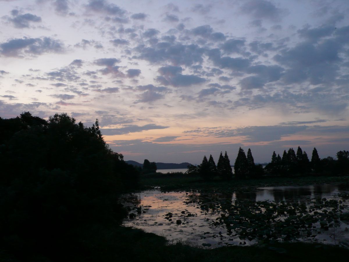 l1100903.jpg