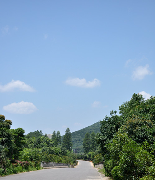 dsc_0093_.jpg