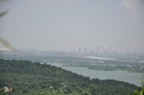 dsc_0062_.jpg