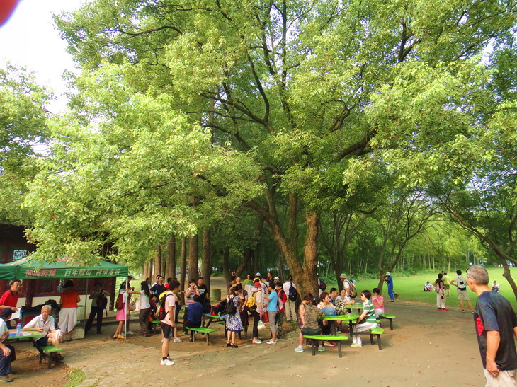 dsc03418.jpg