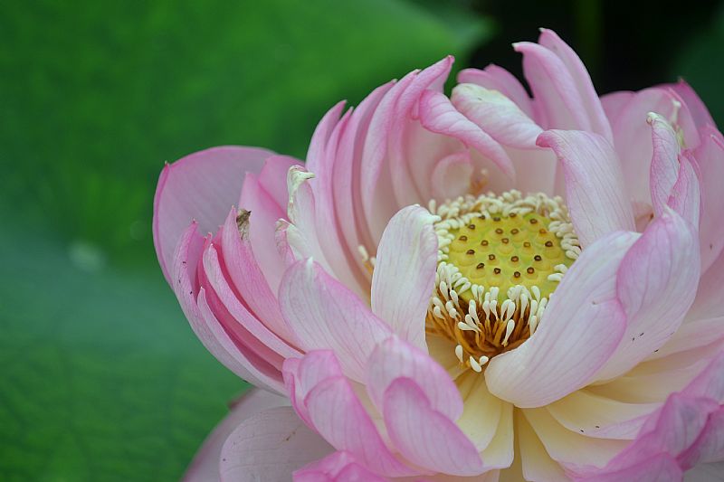 news_2011731219501.jpg