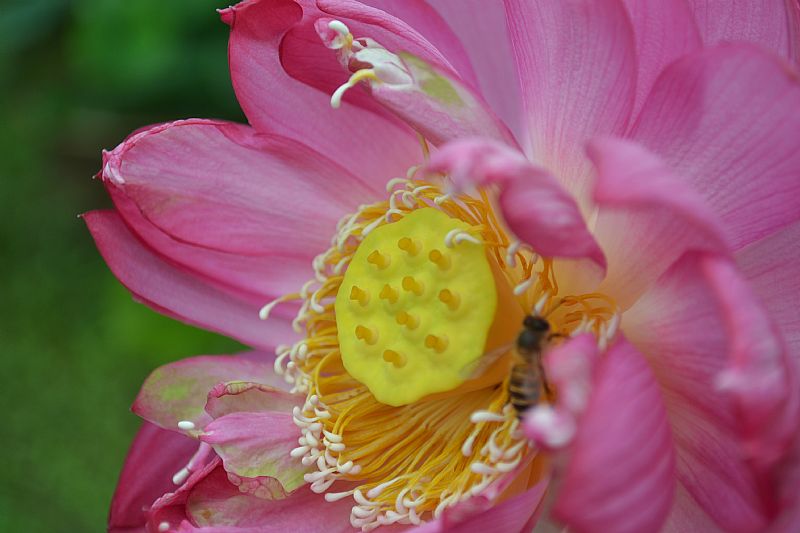 news_201173123221.jpg