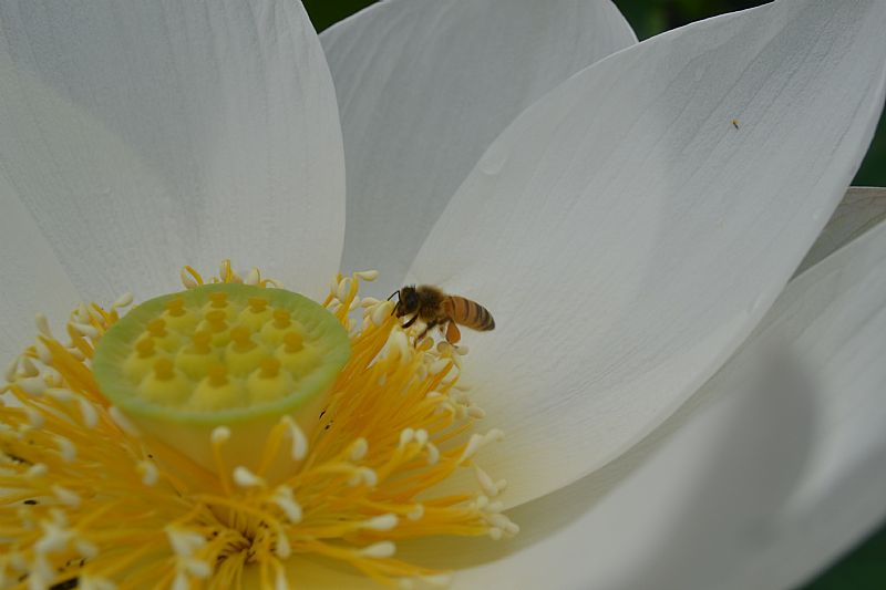 news_201173129301.jpg