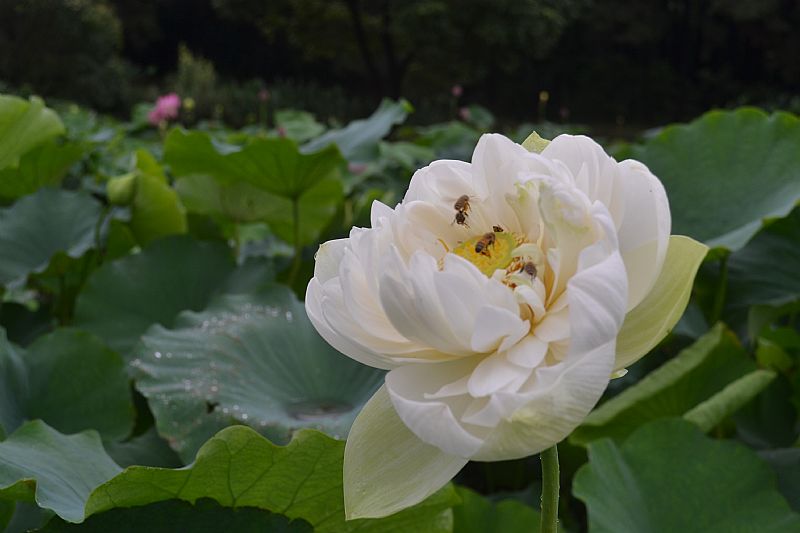 news_2011731211521.jpg