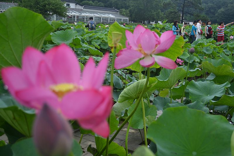 news_2011731217141.jpg