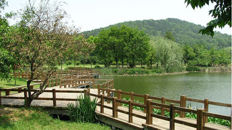 04.jpg