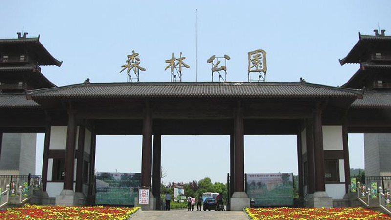01.jpg