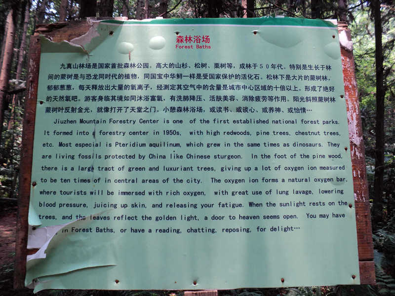dsc04729_����.jpg