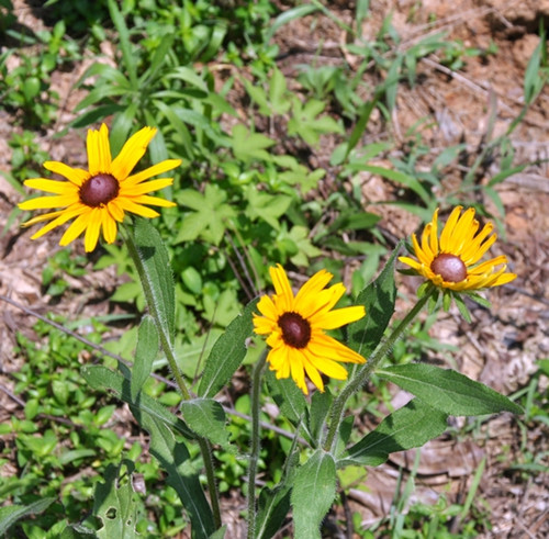 dsc_0097_����.jpg
