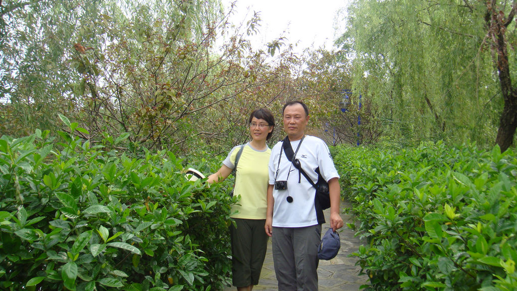 dsc04890.jpg