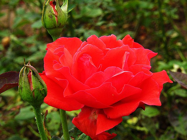 img_1713.jpg