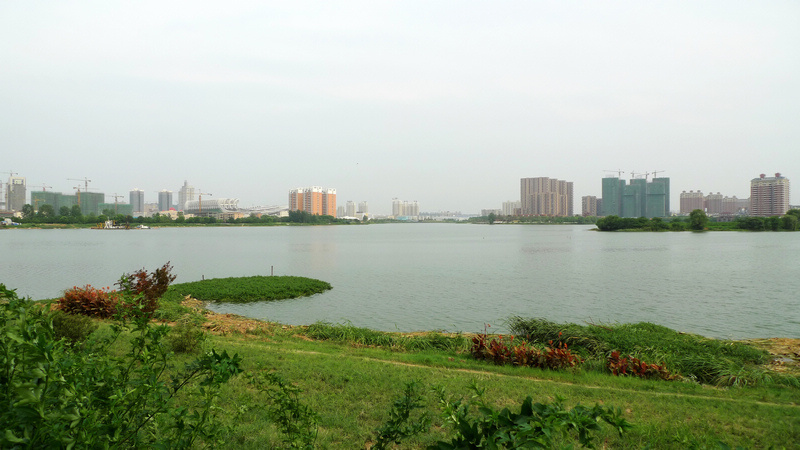 p1030098.jpg