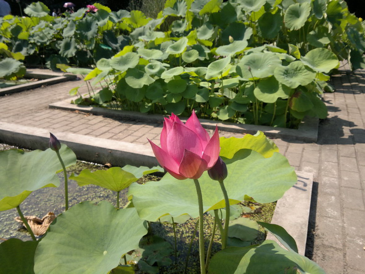 20110702㹲 076.jpg
