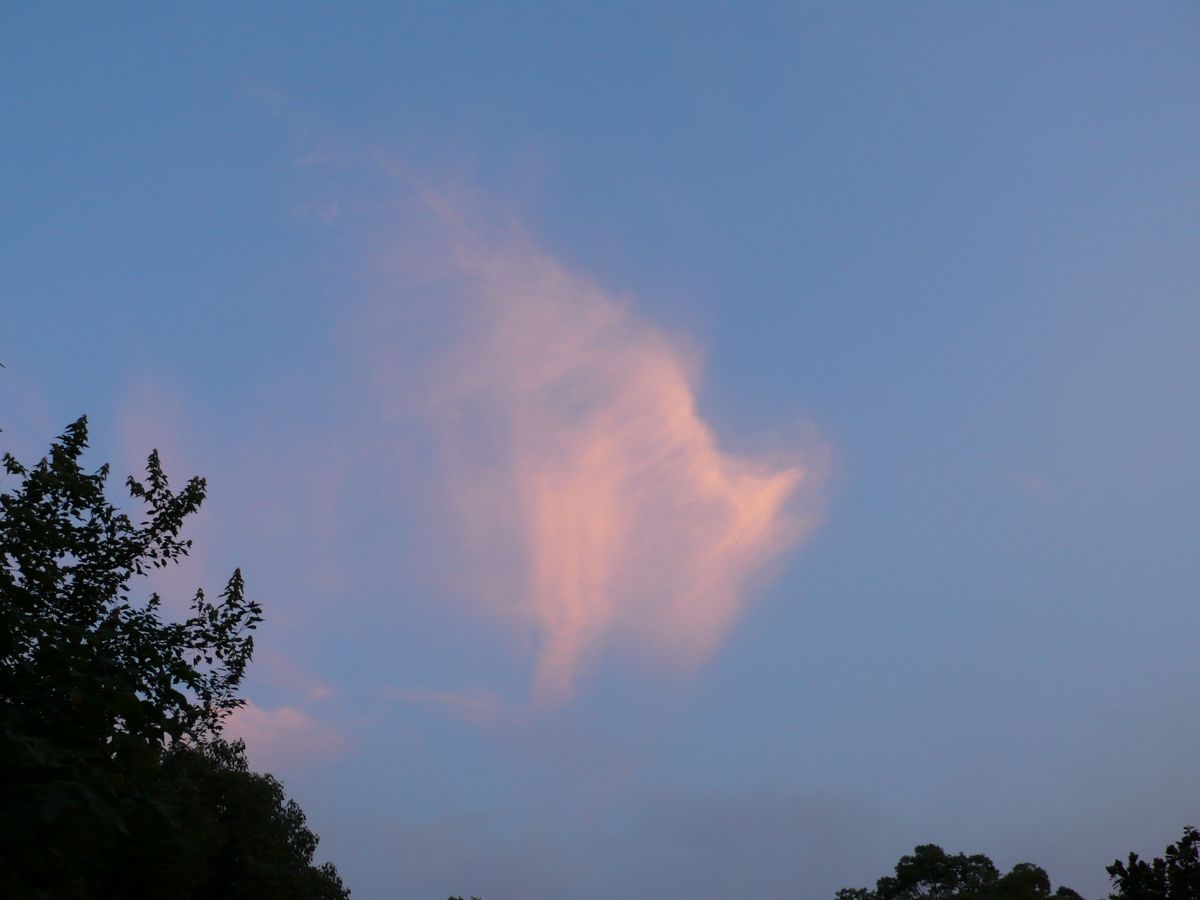 l1110008.jpg