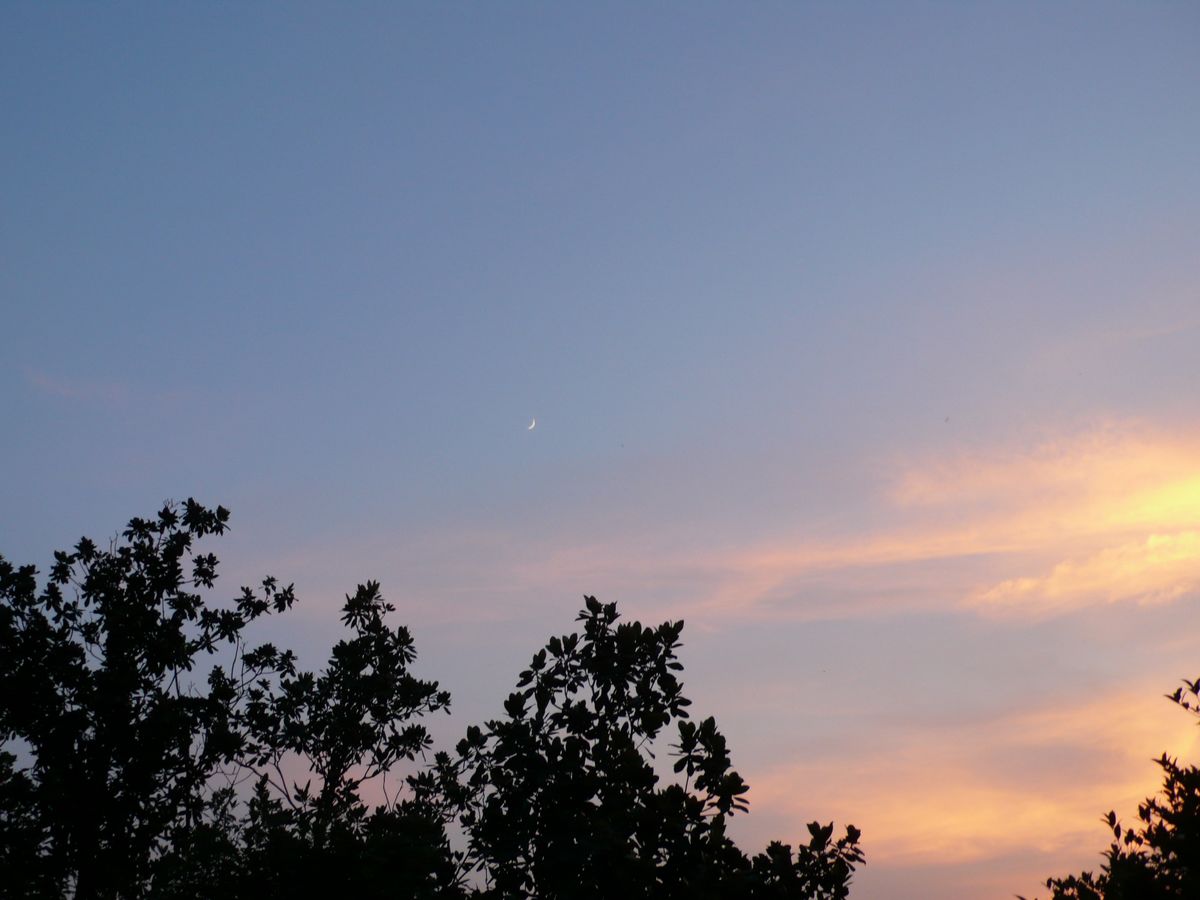 l1110009.jpg