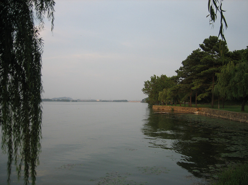 img_0950_12.jpg