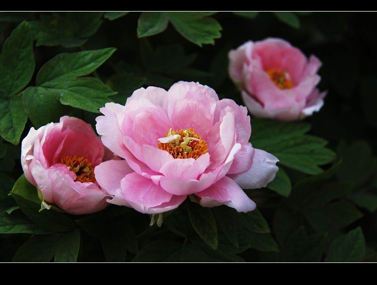 20104511402617901.jpg