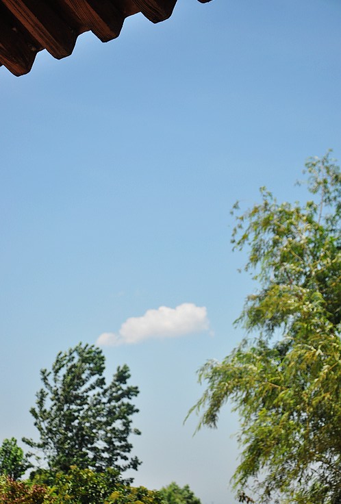 dsc_1389.jpg