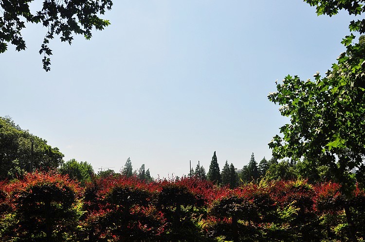 dsc_1407.jpg